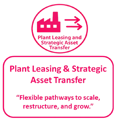 Plant Leasing & Strategic Asset Transfer