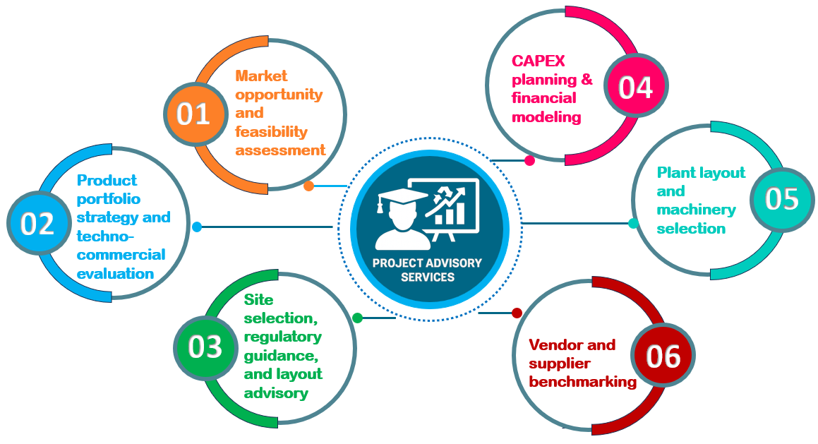 Project Consulatancy and Advisory Services