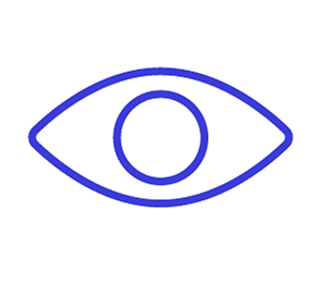 Polymetalz vision