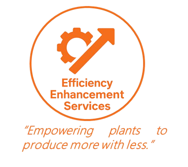 Efficiency Enhancement Services