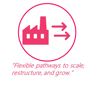 Plant Leasing & Strategic Asset Transfer
